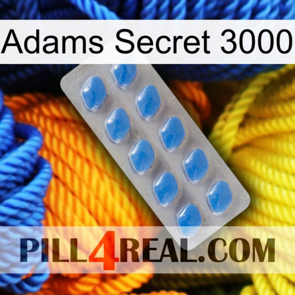 Adams Secret 3000 22.jpg